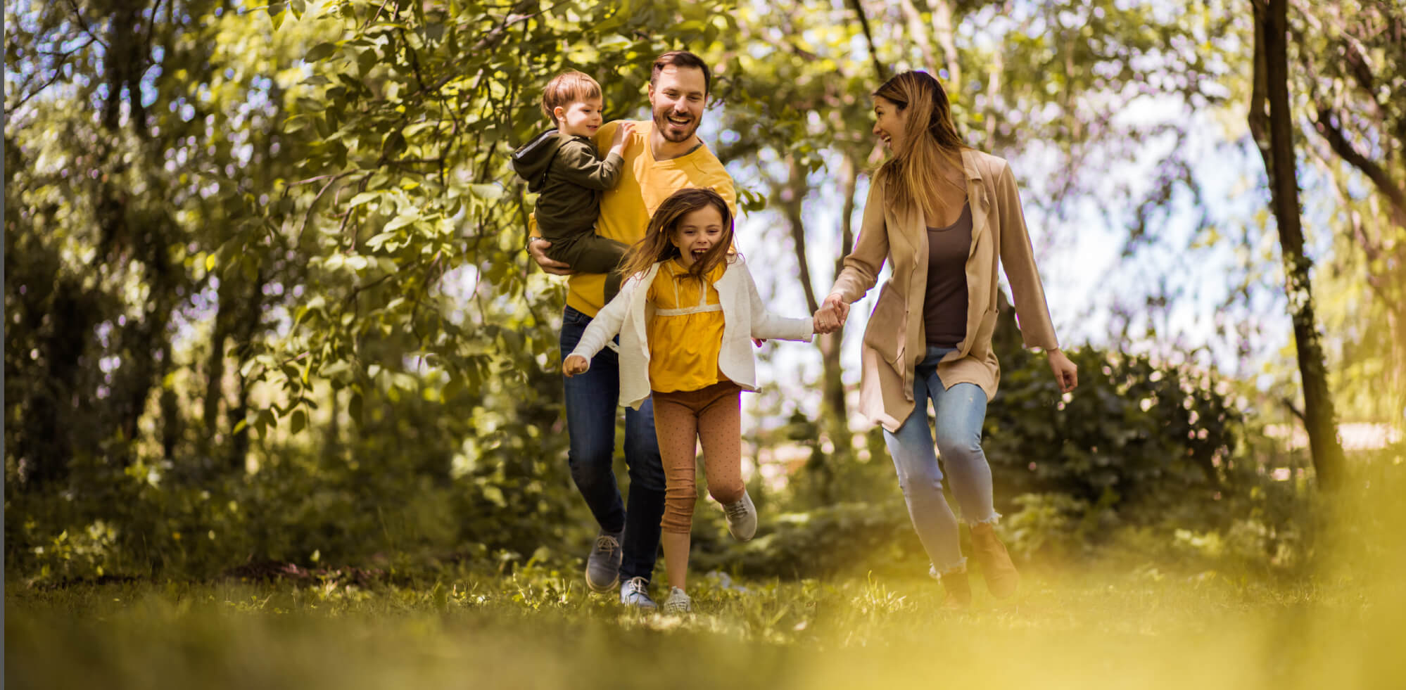 Family Visconde 394